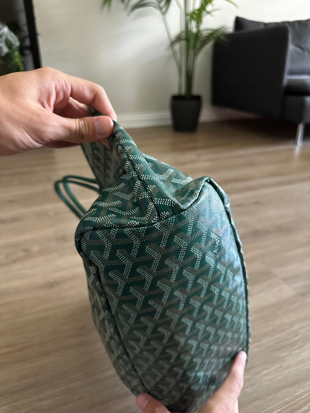 Goyard Saint Louis PM Tote Bag Green