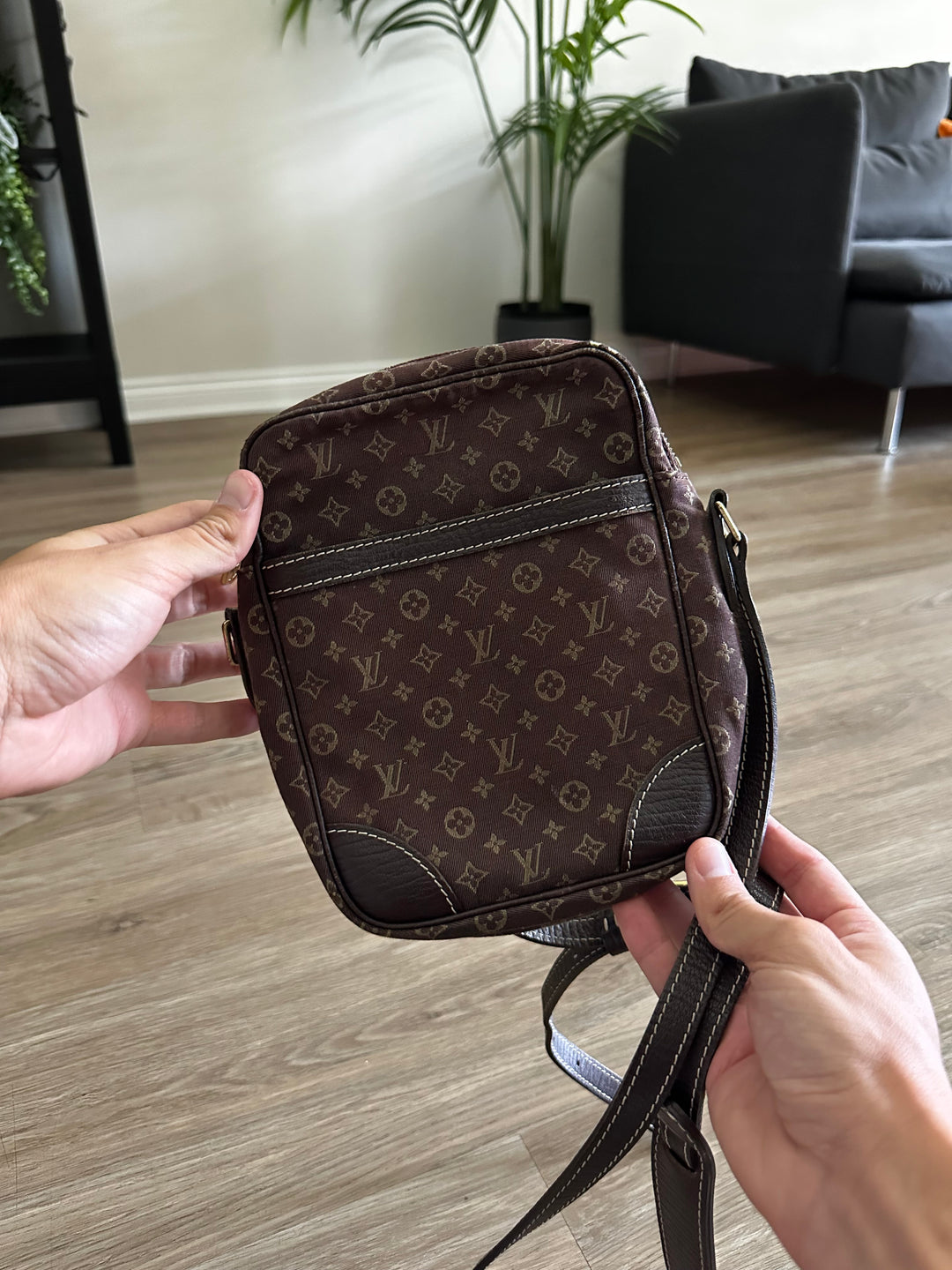 Louis Vuitton Monogram Mini Lin Danube Crossbody Bag Brown