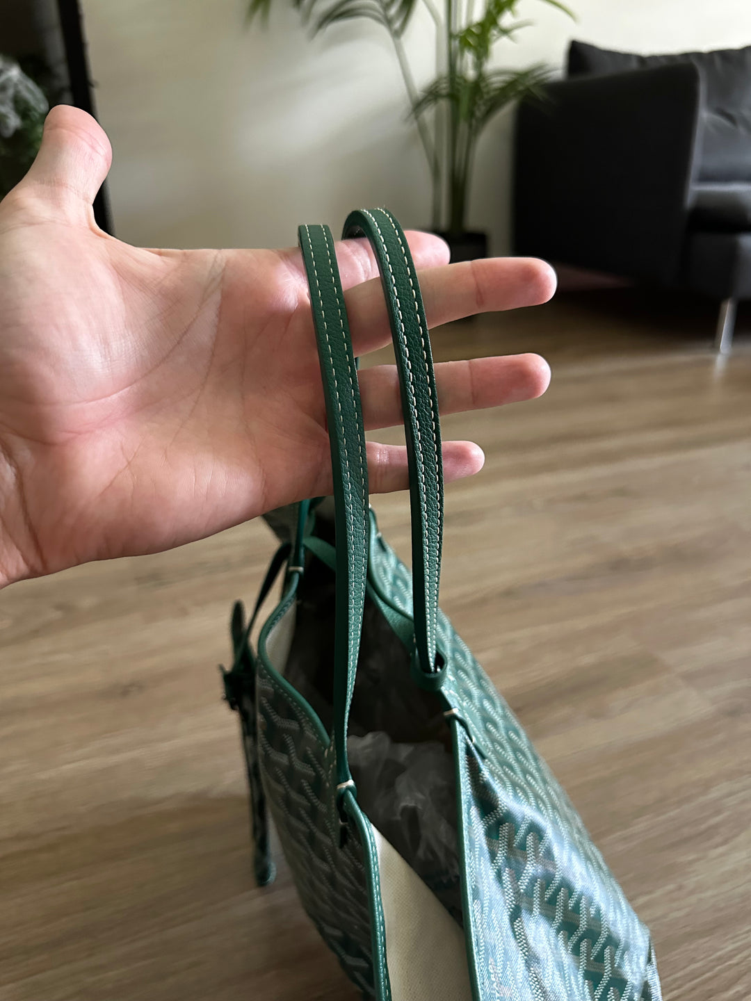 Goyard Saint Louis PM Tote Bag Green