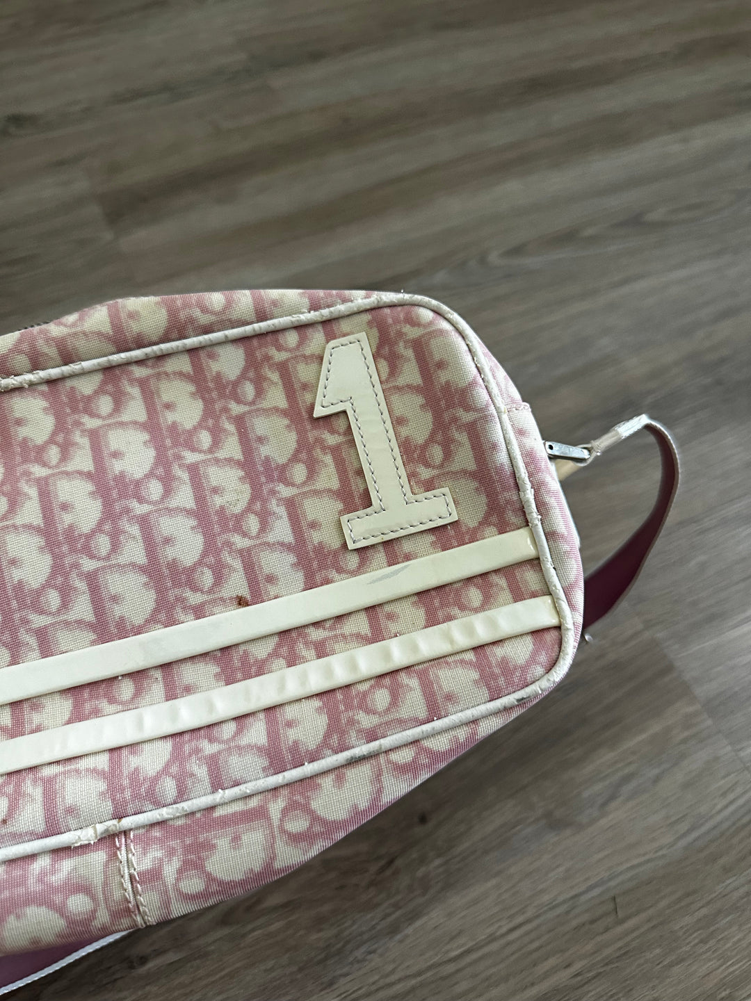 Dior Trotter #1 Crossbody Bag Pink